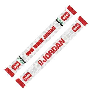 Alternative view of 2026 World Cup We Are Jordan Scarf