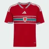 Premiumly Sleek Wales 2026 Unisex Official Soccer Jersey - Authentic Fan Merchandise