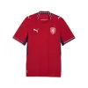 Ideally Moisture-Wicking Your Favorite Team 2026 Unisex Official Soccer Jersey - Authentic Fan Merchandise