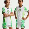 Really Premium Your Favorite Team 2026 Unisex Nike Dri-FIT Replica Soccer Jersey - Official Team Apparel