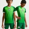 Genuinely Legendary Your Favorite Team 2026 Unisex Nike Dri-FIT Official Soccer Jersey - Official Team Apparel